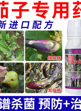 茄子病专用药茄子病害专用黄萎病炭疽病疫病灰霉病根腐病枯萎病