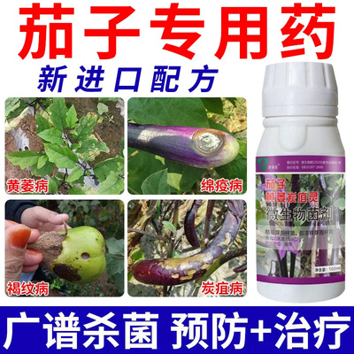茄子病专用药茄子病害专用黄萎病炭疽病疫病灰霉病根腐病枯萎病