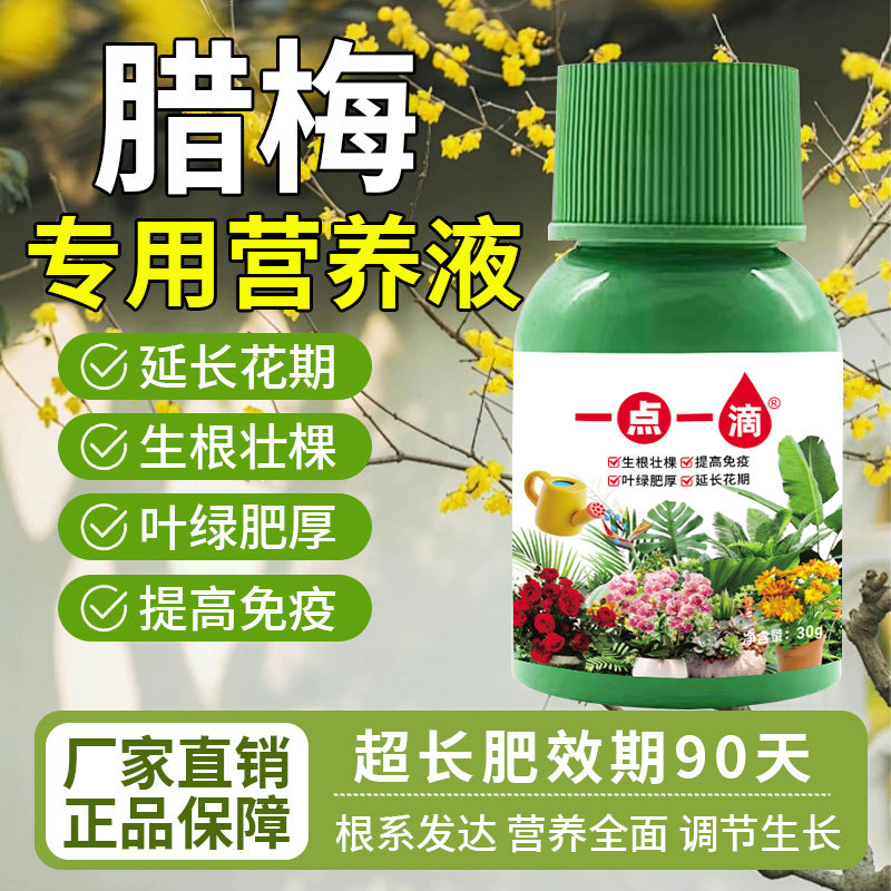 腊梅营养液通用型腊梅专用营养液花肥配方种植增产微量元素园艺