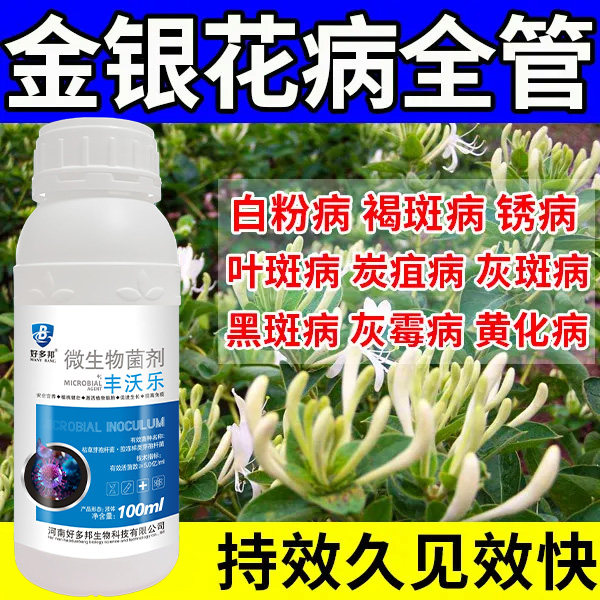 金银花杀菌剂杀菌药金银花病全治生物肥料炭疽病根腐病枝枯白粉病