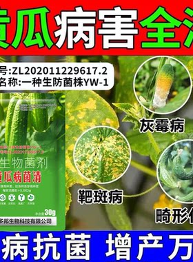 黄瓜病专用药国家专利技术黄瓜霜霉灰霉炭疽角斑靶斑叶斑青枯毒病