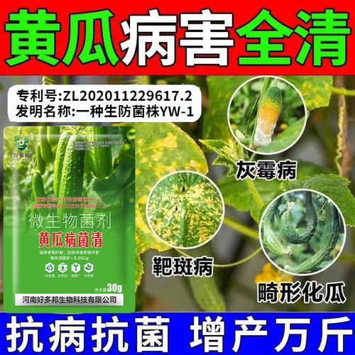 黄瓜病专用药国家专利技术黄瓜霜霉灰霉炭疽角斑靶斑叶斑青枯毒病