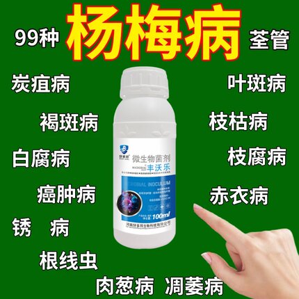 杨梅肉葱病专用叶面肥炭疽褐斑白枝腐癌肿凋萎枯梢病杀菌剂