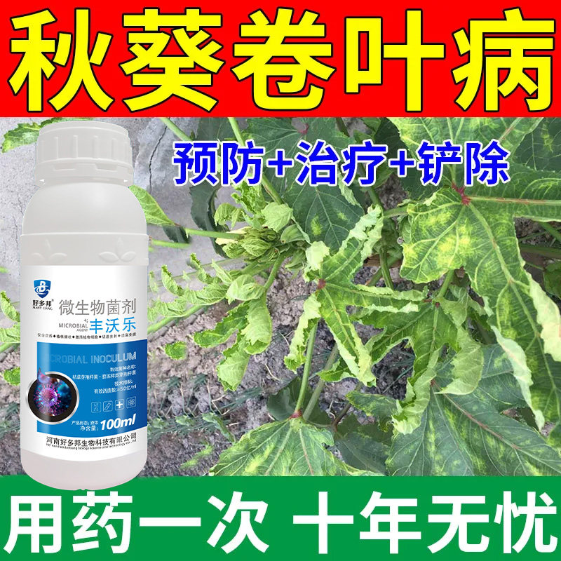 秋葵专用药白粉褐斑根腐病炭疽疫病病毒病专注秋葵病害秋葵病全治