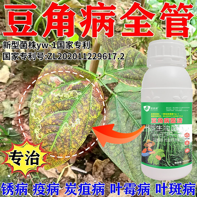 豆角病害清国家专利技术配方豆角锈病炭疽青枯根腐叶斑白粉病毒病