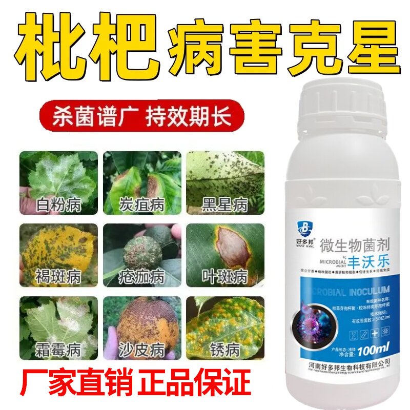 枇杷病全治枇杷专用杀菌剂花腐病灰斑病斑点病炭疽病胡麻色斑点病