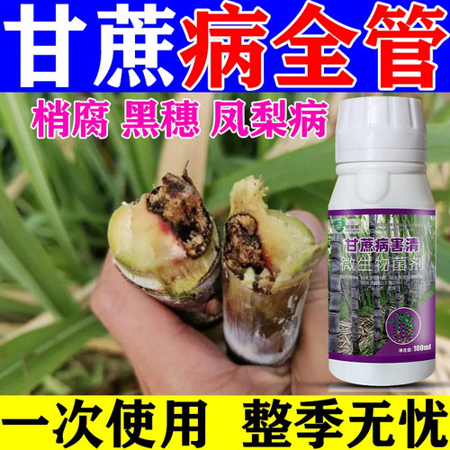 甘蔗病全治稍腐病专用杀菌剂甘蔗锈病叶斑病黑穗赤腐病黄叶黄化病