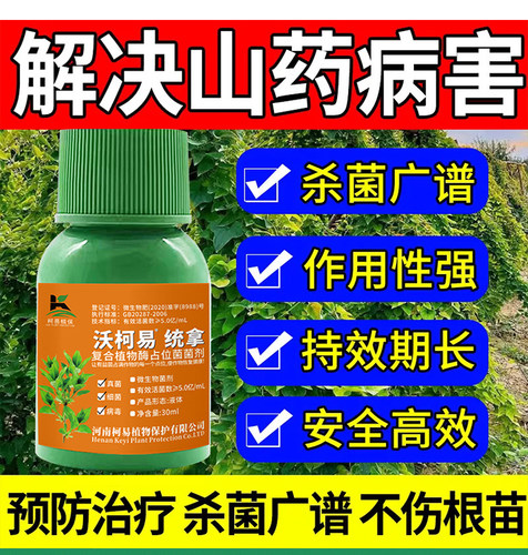 山药病全管山药专用杀菌剂治炭疽病褐斑病灰斑病茎腐病疫病叶斑病