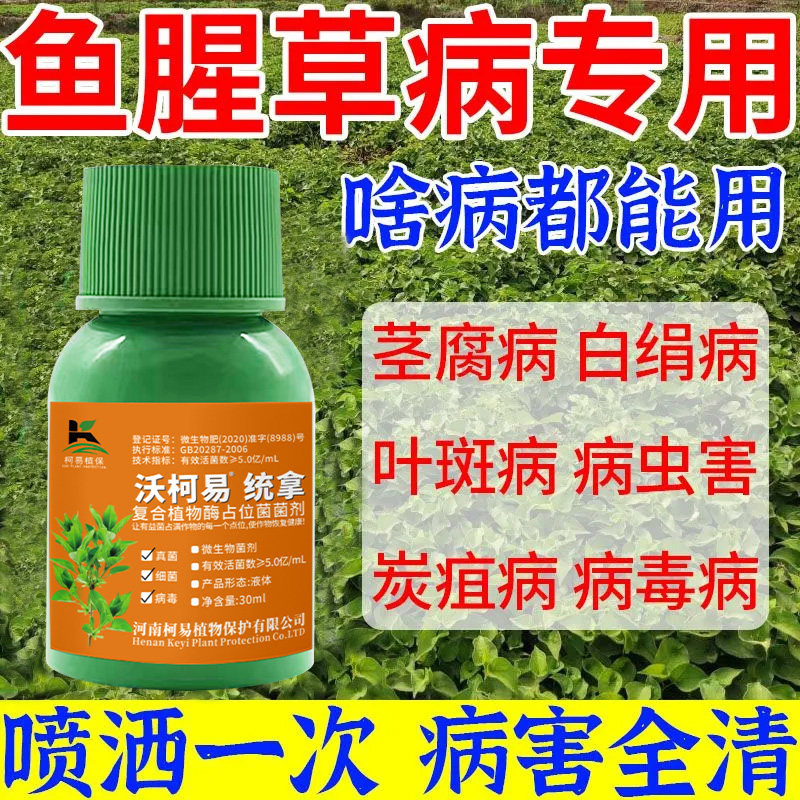 折耳根鱼腥草专用杀菌剂白绢病叶斑病根瘤病死苗烂根黄叶特效药