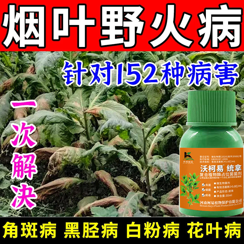 烟叶特效杀菌剂烟叶病全灭野火病根腐病黑胫病斑点病赤星病花叶病