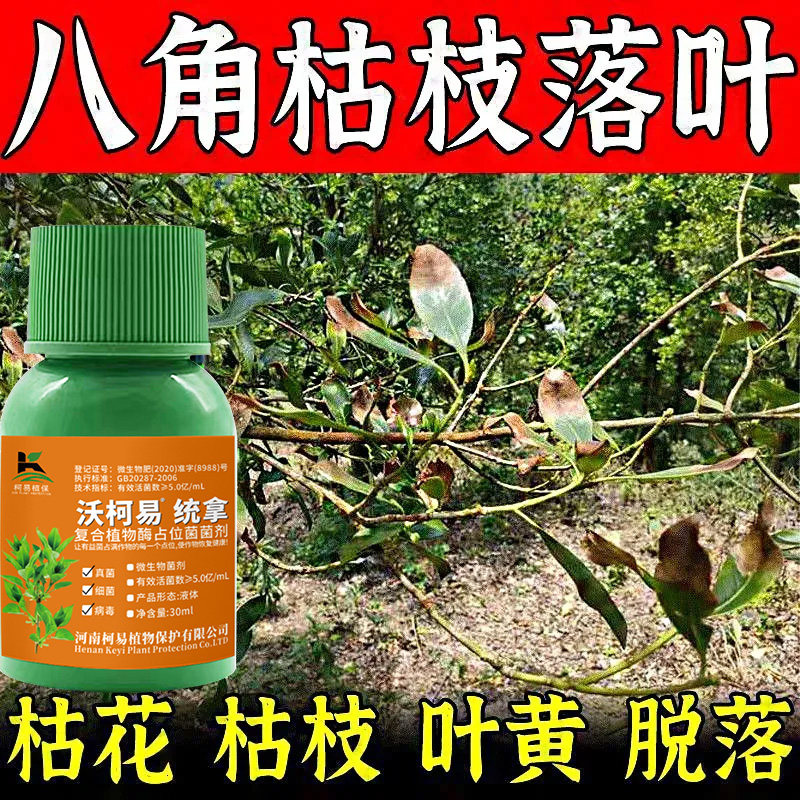 八角专用杀菌剂八角病害全治微生物菌剂靶斑病特效炭蛆病褐斑病