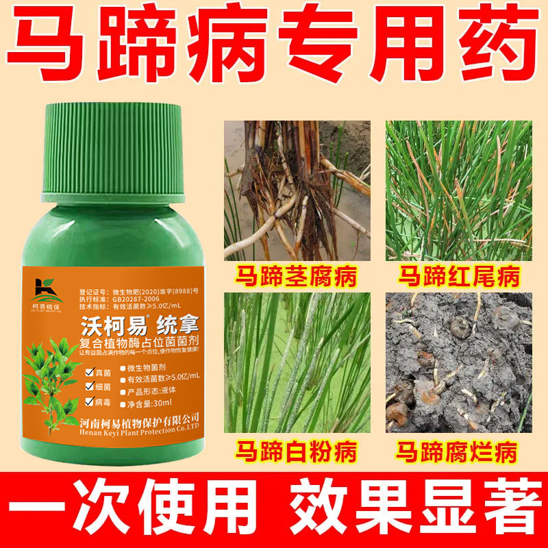 马蹄病专用药马蹄病全治红尾病马蹄瘟杆枯根腐茎基腐病马蹄杀菌剂
