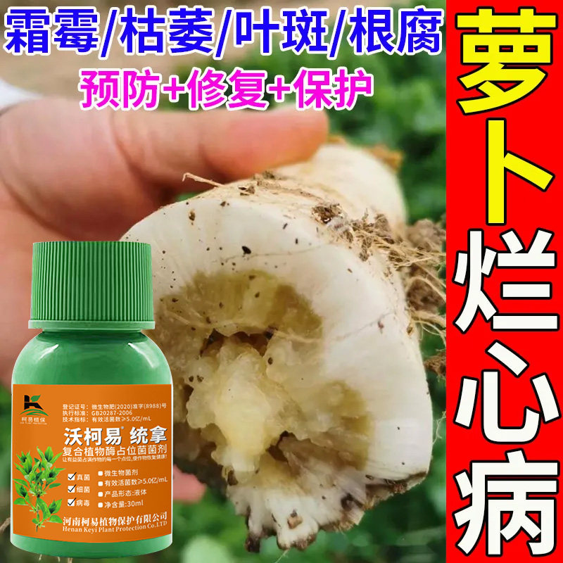 萝卜病全治萝卜烂根黑斑病根肿病霜霉病软腐病黑腐病萝卜专用药