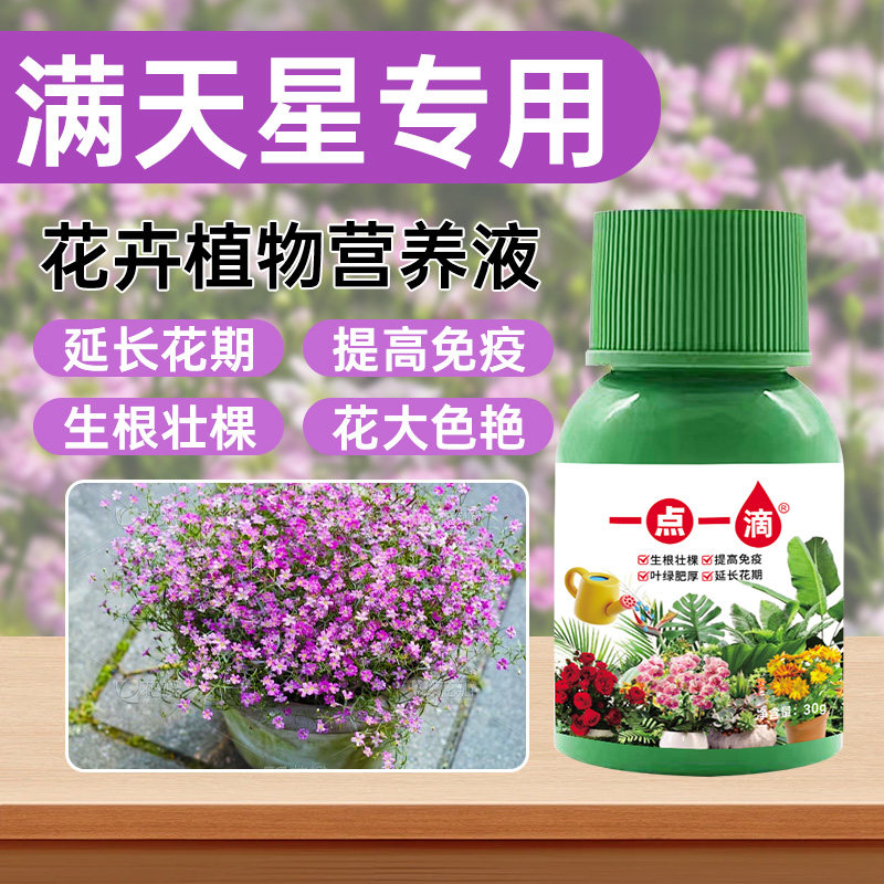 满天星营养液通用型满天星专用营养液花肥绿植水培植物肥料治黄叶