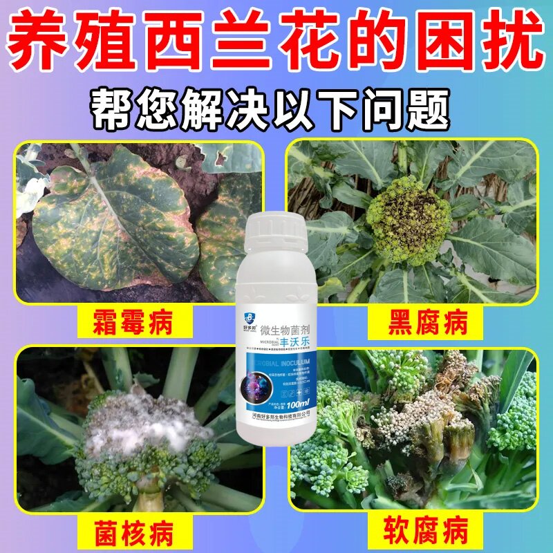 花菜病全管西蓝花软腐病黑腐病抗猝倒病黑斑病霜霉病通用叶面肥