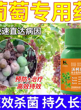 葡萄穗轴褐枯病杀菌剂果穗干枯烂梗烂穗幼果萎蔫脱落葡萄专用药