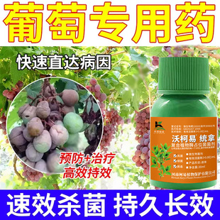 葡萄穗轴褐枯病杀菌剂果穗干枯烂梗烂穗幼果萎蔫脱落葡萄专用药