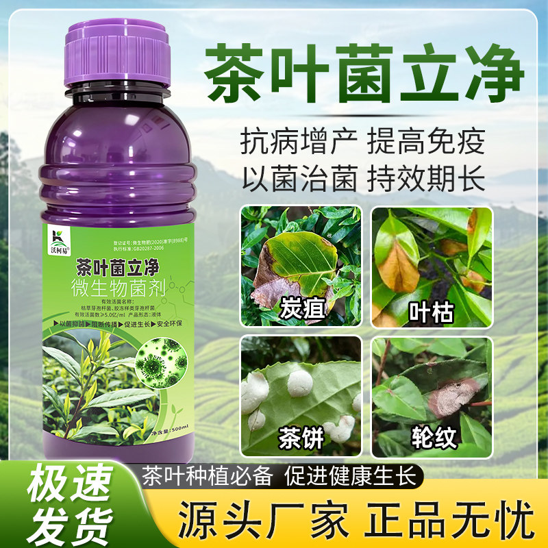 沃柯易茶叶菌立净茶饼病炭疽病轮纹病叶枯病茶霉白星病毒病茶树