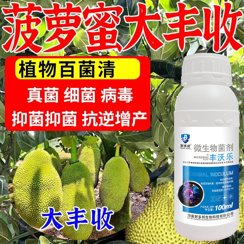 菠萝蜜病害药果腐病炭疽病裂果病菠萝蜜专用杀菌剂菠萝蜜病全治