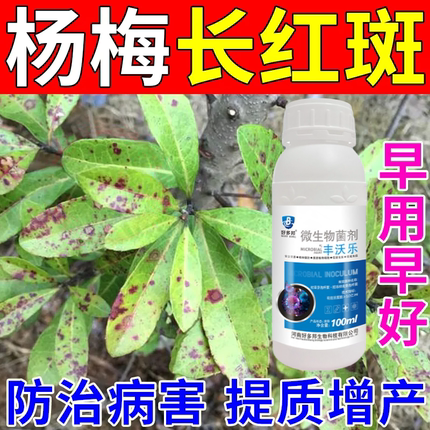 杨梅树病害专用杨梅肉葱卷叶黄叶病红斑病赤衣病褐斑病正品直销