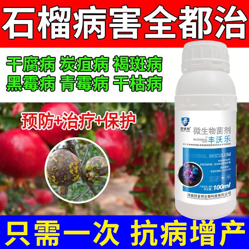 石榴树百菌消卷叶黄叶病叶小叶克星死苗烂根防裂干腐炭疽病褐斑病