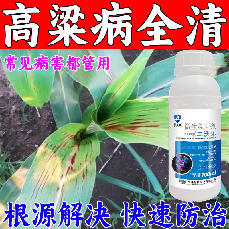 高粱专用杀菌剂高粱病全治黑穗病红叶病大斑病斑点病烟煤病杀菌剂
