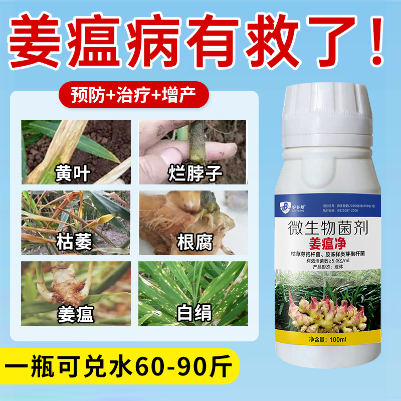 姜瘟净姜瘟专用姜瘟灵生姜杀菌剂大姜烂脖子病姜瘟颈基腐干尖黄叶