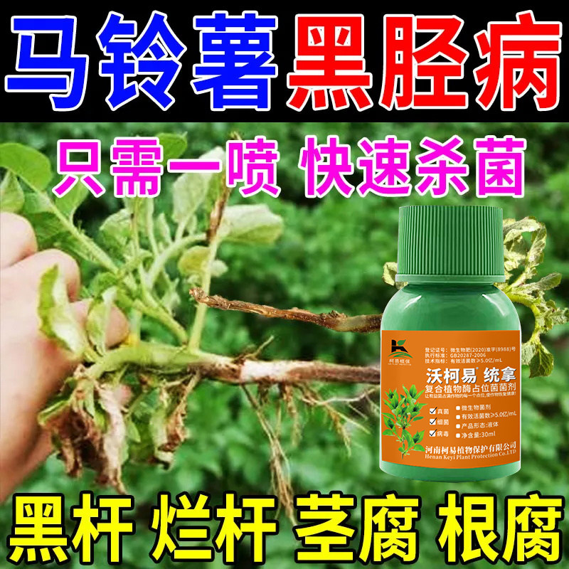 土豆专用药正品全治晚疫病烂根黄叶疮痂软腐病疫病专用叶面肥
