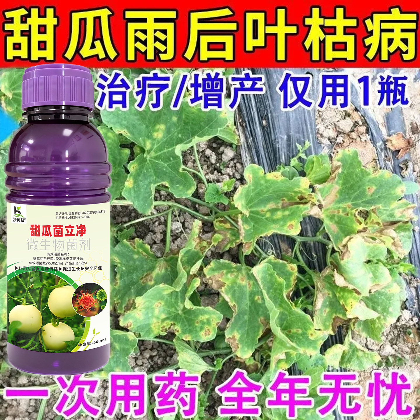 甜瓜病专用药叶斑疫病霜霉化瓜果腐枯萎白粉蔓枯炭疽生物杀菌剂