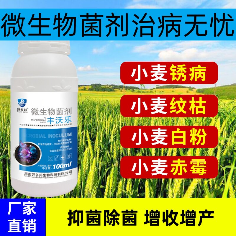 小麦黄叶病毒病专用药小麦病全治花叶茎基腐病条锈病白粉病杀菌剂