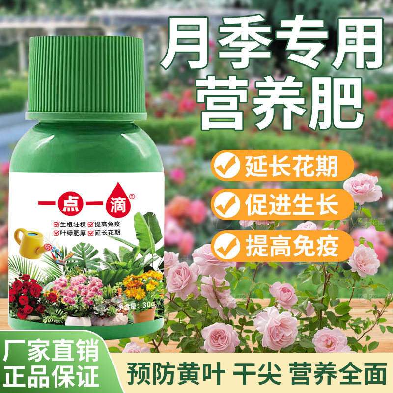 园艺植物月季玫瑰专用肥营养液浓缩肥料绿植花卉盆栽开花肥料