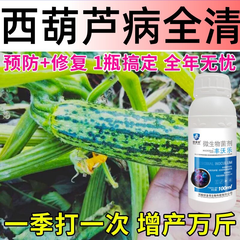 西葫芦病毒病专用药荨瓜白粉灰霉叶子发黄花叶卷叶枯萎软腐治病药