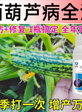 西葫芦病毒病专用药荨瓜白粉灰霉叶子发黄花叶卷叶枯萎软腐治病药