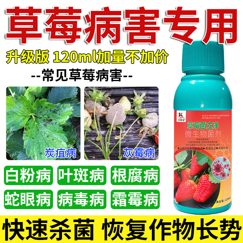 草莓病害清叶斑灰霉根腐蛇眼青枯霜霉猝倒炭疽病专用正品杀菌剂