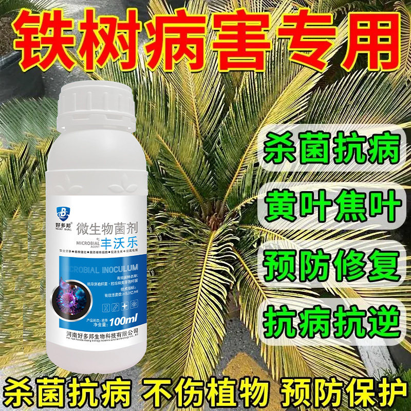 铁树专用营养液促生长防黄叶枯萎叶斑烂根径杆黄液体肥营养液