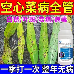 空心菜褐斑病专用药褐斑病杀菌剂空心菜病全治斑点白锈早疫病杀菌
