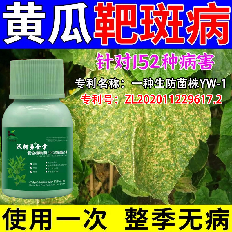 黄瓜病全治黄瓜专用药黄瓜杀菌剂叶面肥黄瓜霜霉褐斑叶枯特效药拿
