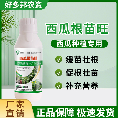 西瓜根苗旺西瓜种植专用生根壮苗补充营养健壮植株膨果增甜水溶肥