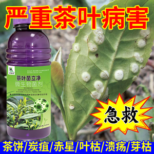 茶叶病害专用茶饼病炭疽病轮纹病叶枯病茶霉白星病毒病茶树杀菌剂