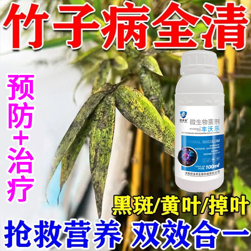 竹子病专用杀菌剂叶子发黄干尖掉叶黄叶竹子促芽生根专用正品肥料