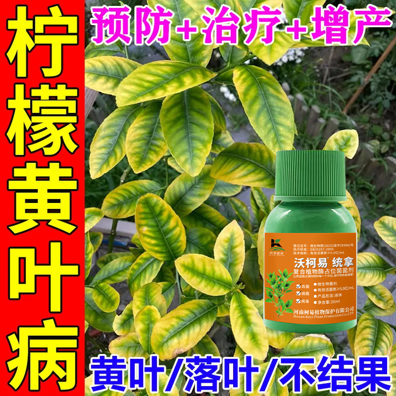 柠檬杀菌剂柠檬病全职霜霉病炭疽病烟煤病溃疡病疮痂病强效杀菌剂