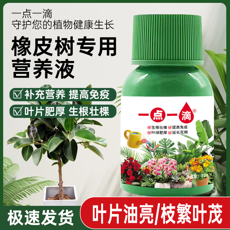 橡皮树专用营养液室内花卉绿植通用型花肥预防黄叶促生长专用肥料