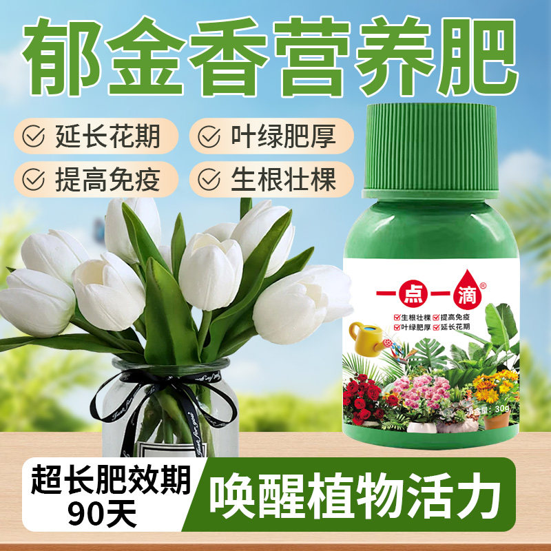 郁金香营养液花卉养花水培植物花草专治黄叶专用通用型插花花肥