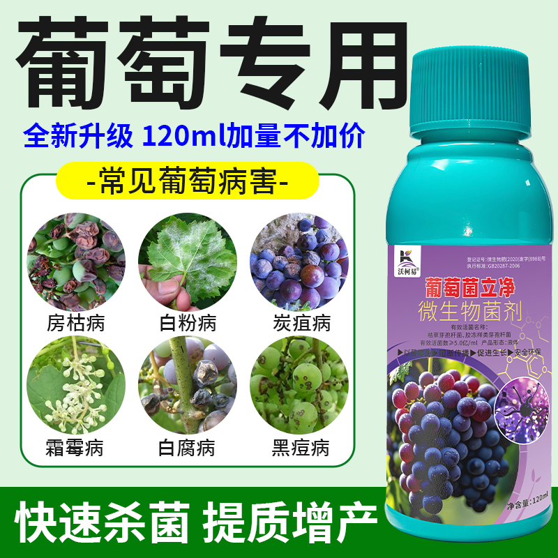 葡萄病害清霜霉白腐病黑痘炭疽白粉褐斑溃疡烂果葡萄专用杀菌剂