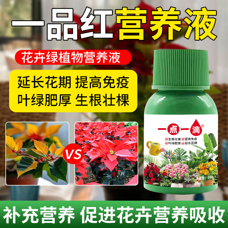 一品红营养液花卉黄叶水养育苗盆景花肥树苗液体肥浓缩型室内