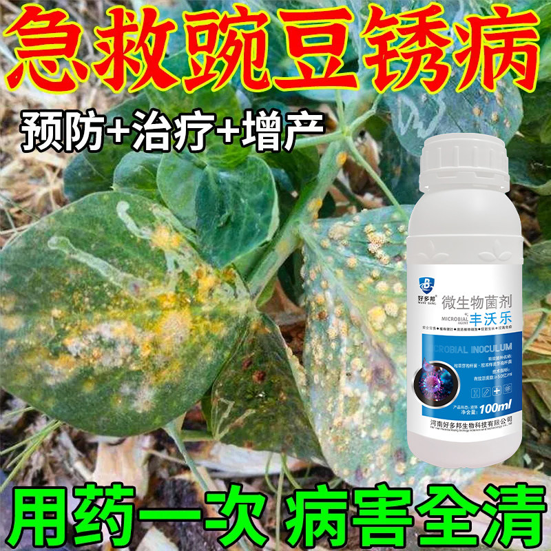 豌豆专用药豌豆病全管烂根白粉病黄叶软腐霜霉病农用正品杀菌剂