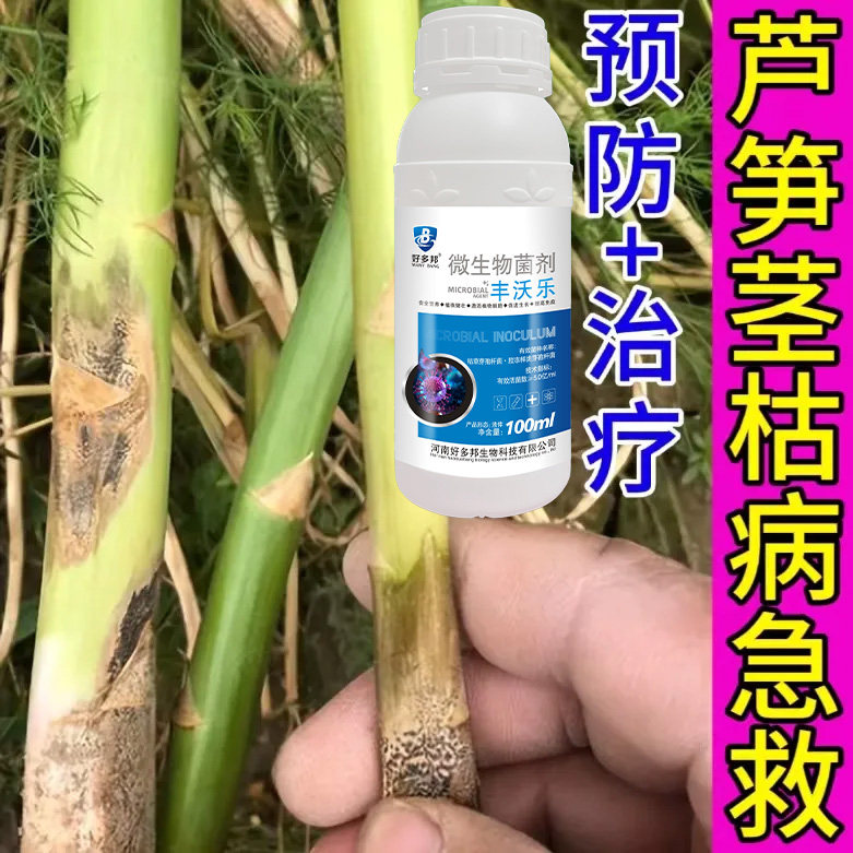 芦笋病害专用杀菌剂抗害抗病提质增产茎腐病黑斑炭疽病通用叶面肥