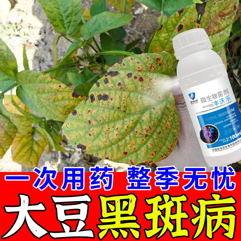 大豆病全治大豆病菌清病专用灰霉病叶枯病根腐病霜霉病杀菌剂黄叶