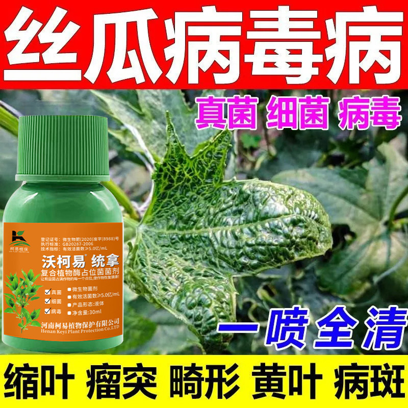 丝瓜黄叶病叶斑病叶枯病丝瓜霜霉病药靶斑病丝瓜杀菌剂褐斑病增产