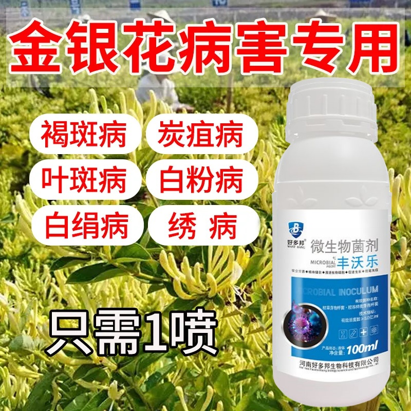 金银花杀菌剂褐斑病枯萎金银花专用杀菌药白粉病根腐病枝枯病锈病
